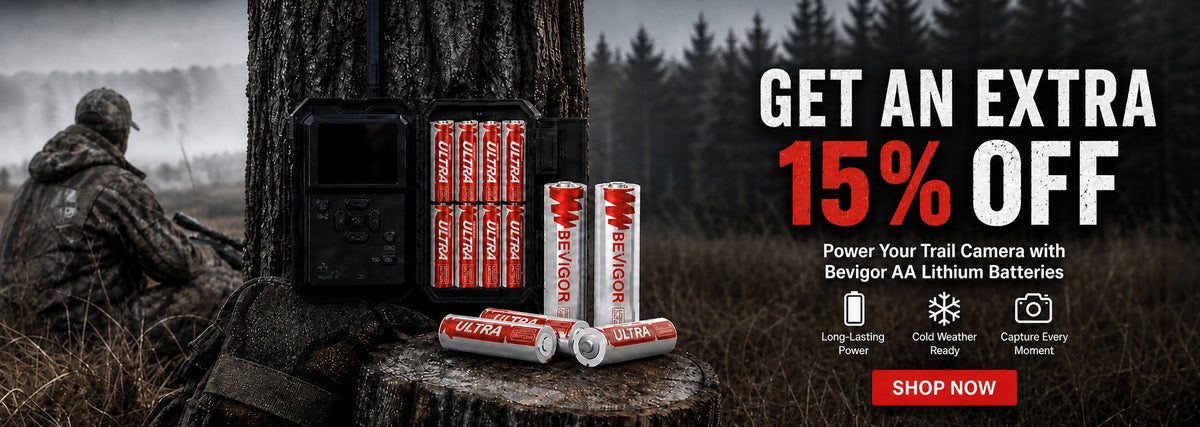 15% off bevigor aa lithium batteries for sale