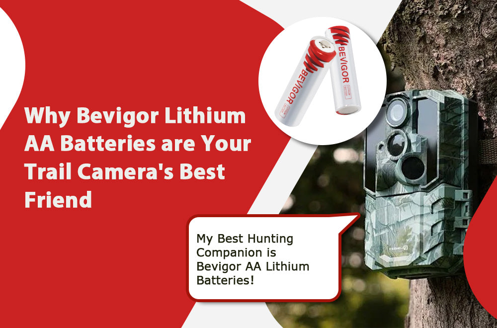 Lithium AA Batteries and a Trail Camera