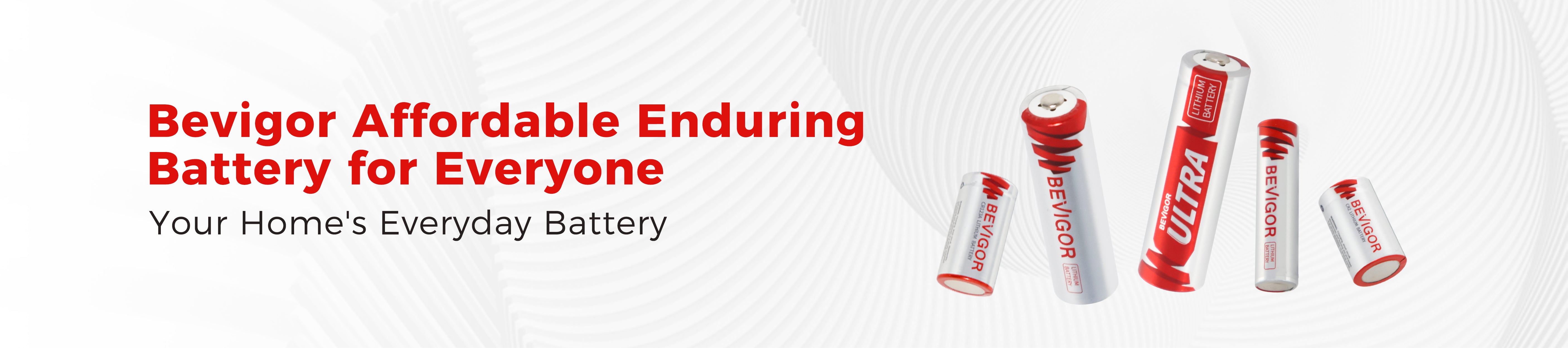 affordable aa lithium batteries enduring battery for wholesale