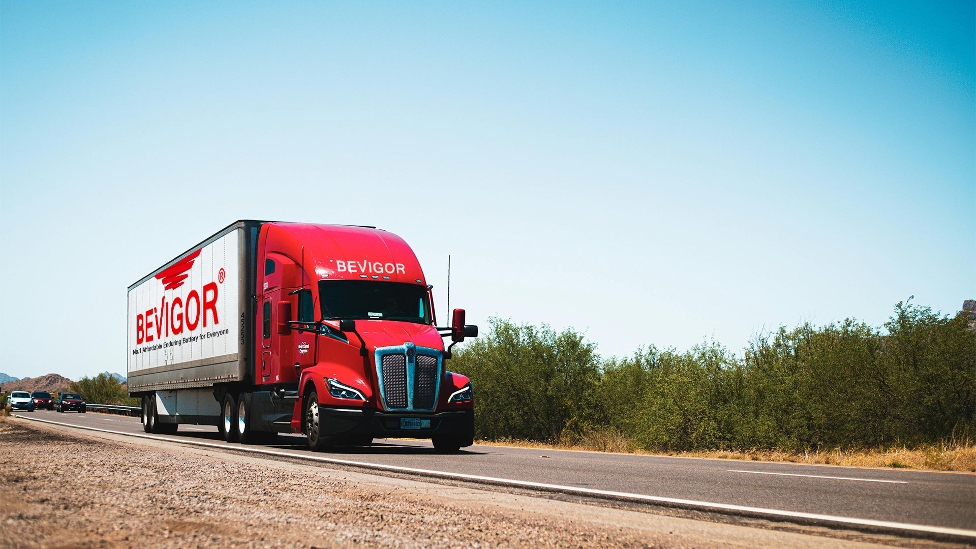 bevigor wholesale shipping